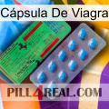 Cápsula De Viagra new03